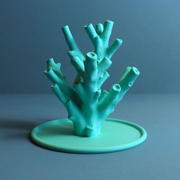 Gazzaladra XX Echinata Coral Jewelry Holder | Jewelry Organizer - Picture 4 of 4